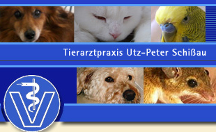 Bild zu Schißau Utz-Peter in Berlin Bild zu Schißau Utz-Peter in Berlin