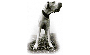 Bild zu Koepsel Jeanette in Berlin Bild zu Koepsel Jeanette in Berlin