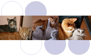 Bild zu Heinemann S. Dr. med. vet. in Berlin Bild zu Heinemann S. Dr. med. vet. in Berlin